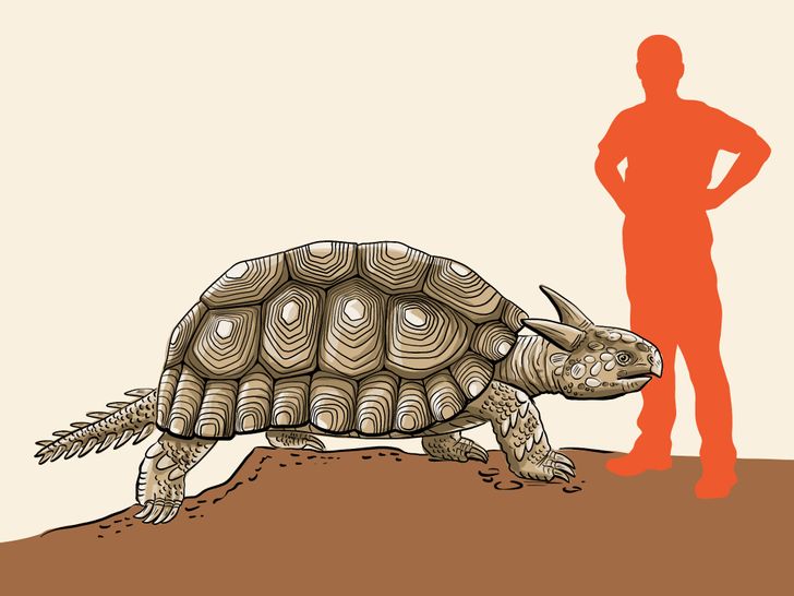 211adb5f4ebedd2daeb481b95d