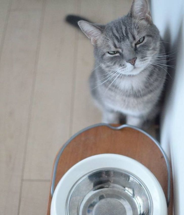 211c24549f994d0e2a5a5868eb