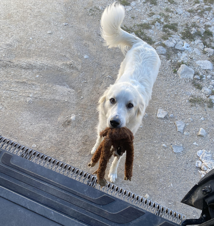 211e365d658068794596f5de67