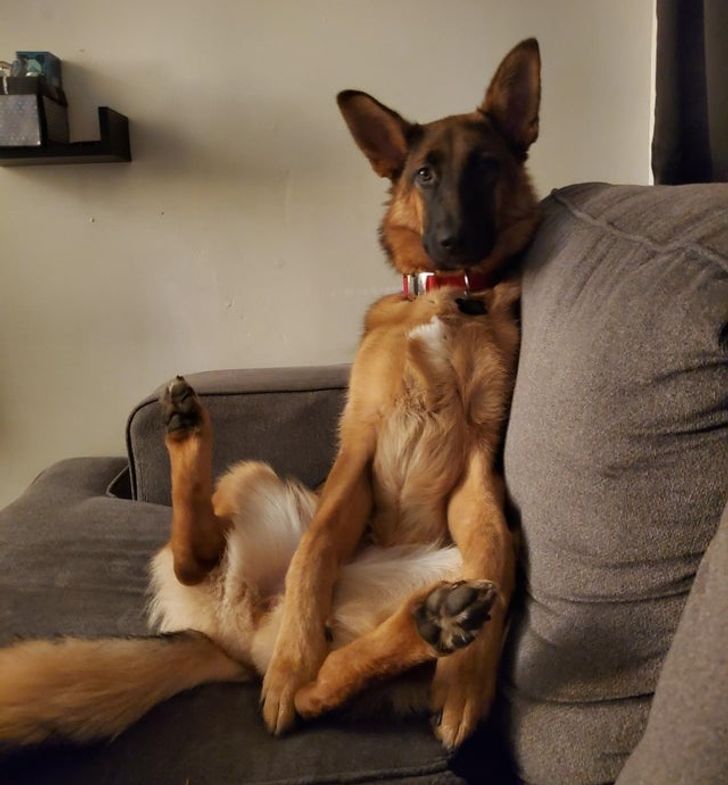 211f655615a8b5bea3e84a0b23