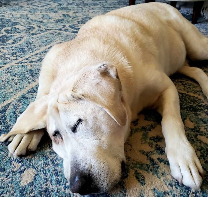 212b6458c09aa56970659524dc