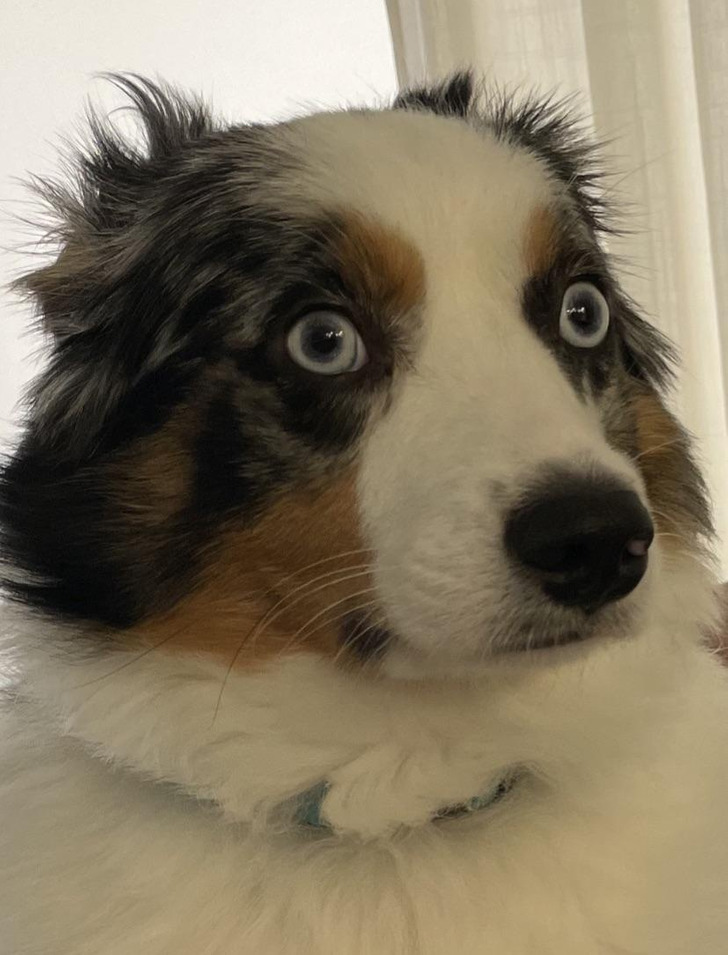 2134605abfafec435e6785ba79