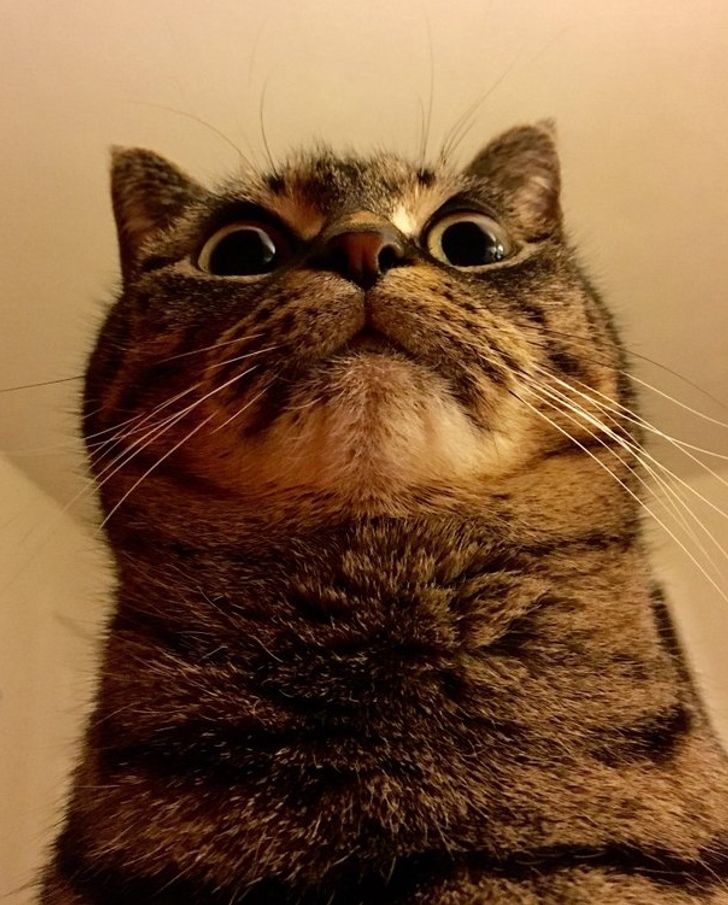 213858565ab39d2e1983a0b12d