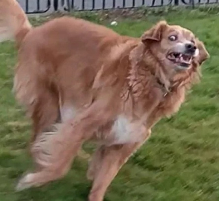 213fd75b4c92cca510d0a83968