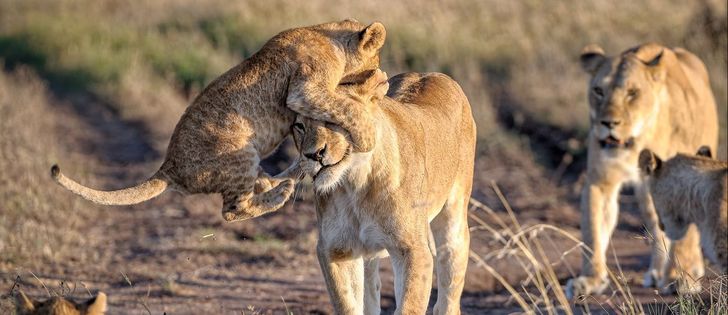 214148563bb71269dc5c0a7084