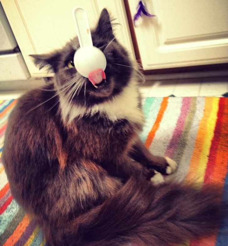 2146a15be0829968ed531a36c7