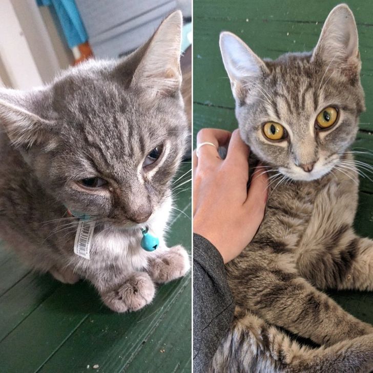 21488a5797bd0dff534eb084d1