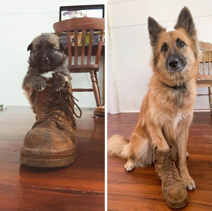 214c4d5fe88a3a8a04cda85b80