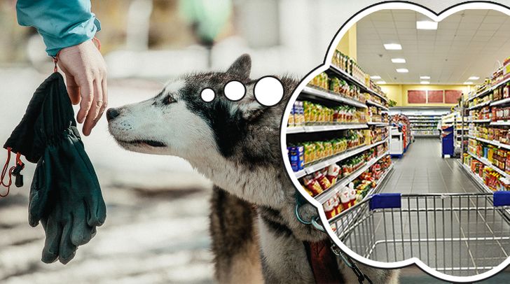 2152b65eb49513d8d290bde02d