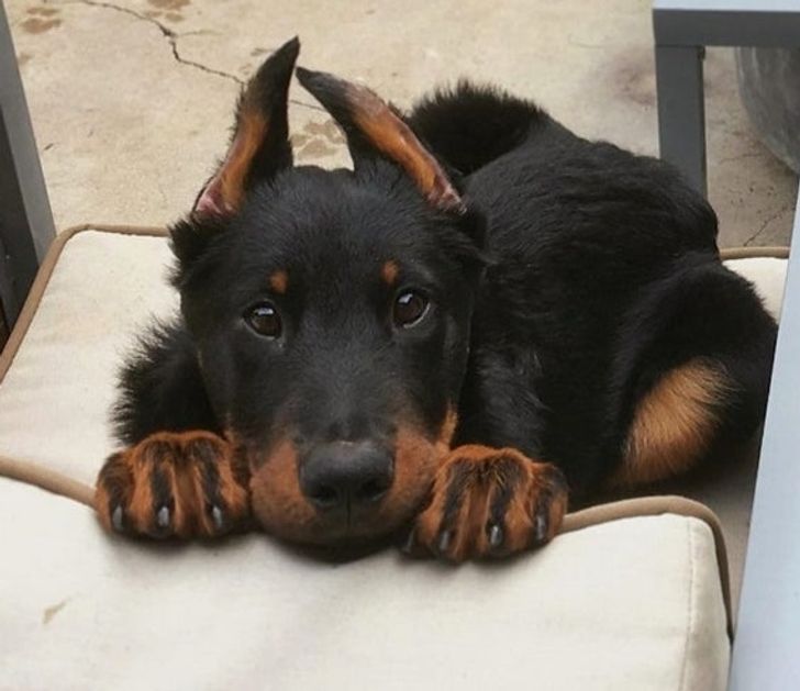 2154715e24bca7decfe218671d