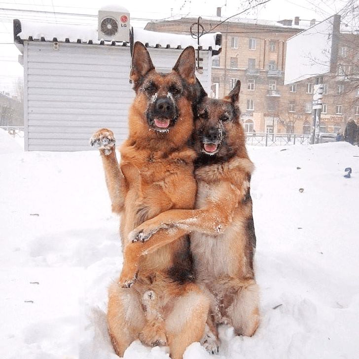 215f3d5cefa9a1df967809c18f