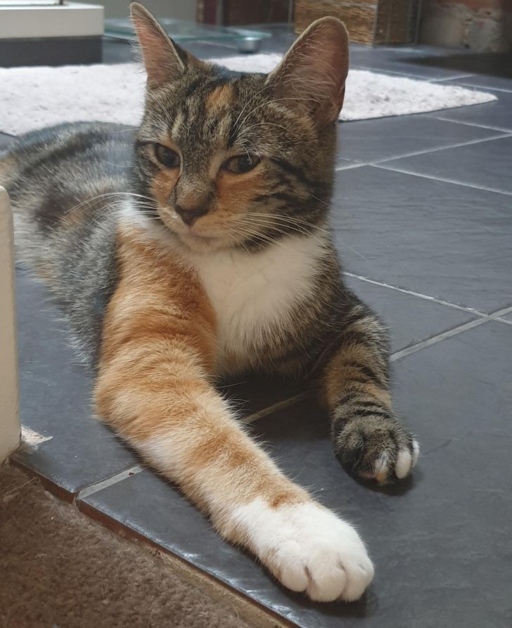 216cd65911a078d180405842db 216cd65911a078d180405842db