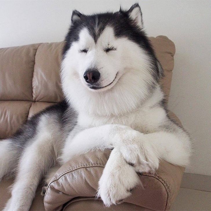 21742f580da7261464a4cb8304