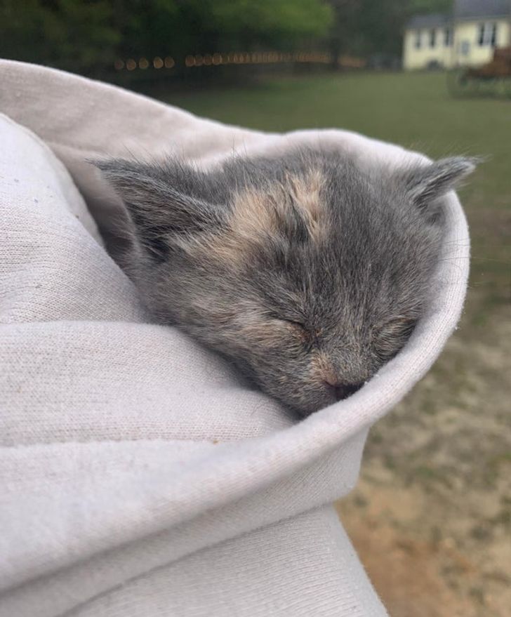 21758b5dc997633aebb013e807