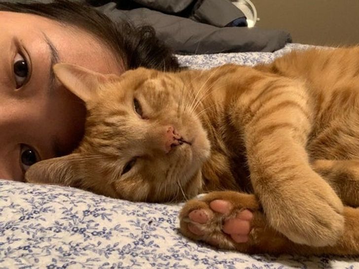 21771c50a4a1278d1c5c781480