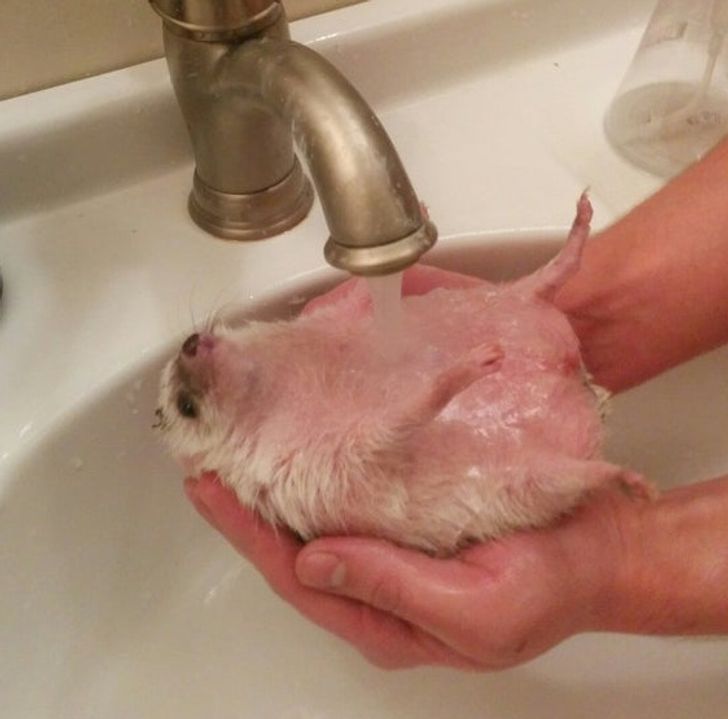 217a5854a990bd96c065337d7f