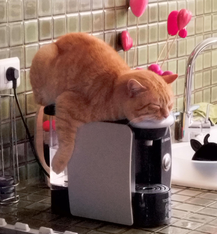 21880b513284615fd051aefd19 21880b513284615fd051aefd19