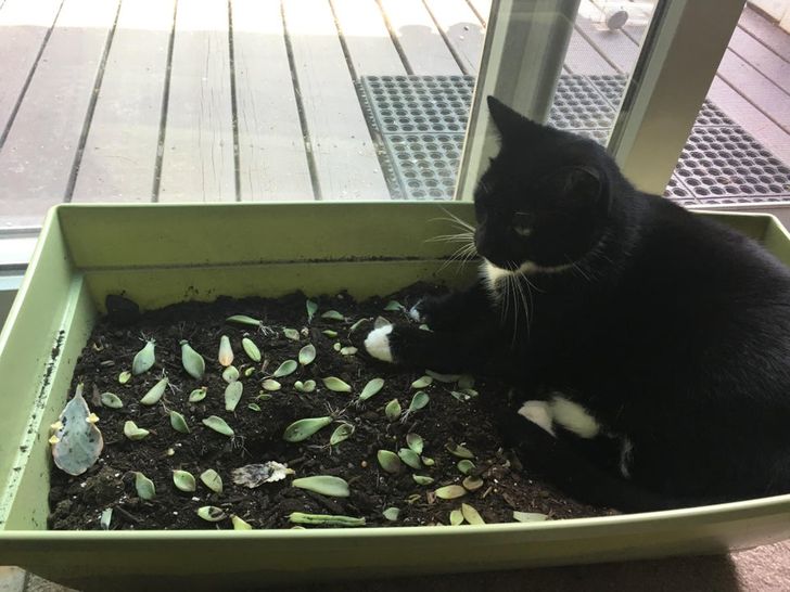 218b925e0f82df6bc33925f2f3