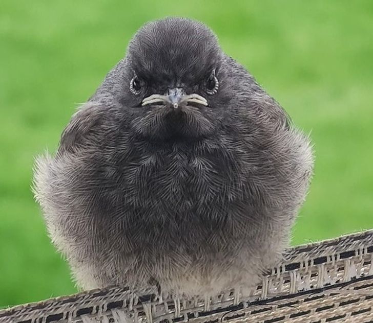 218ea853c28f8a49038118392c