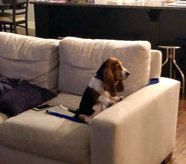 2190bc59d68461774916eace0c