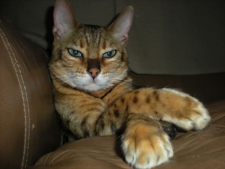 21924c5a2cb91ccf9d6ace3e2c