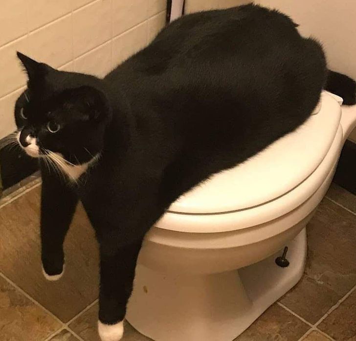 2198e153c39efde8f3d4d16944