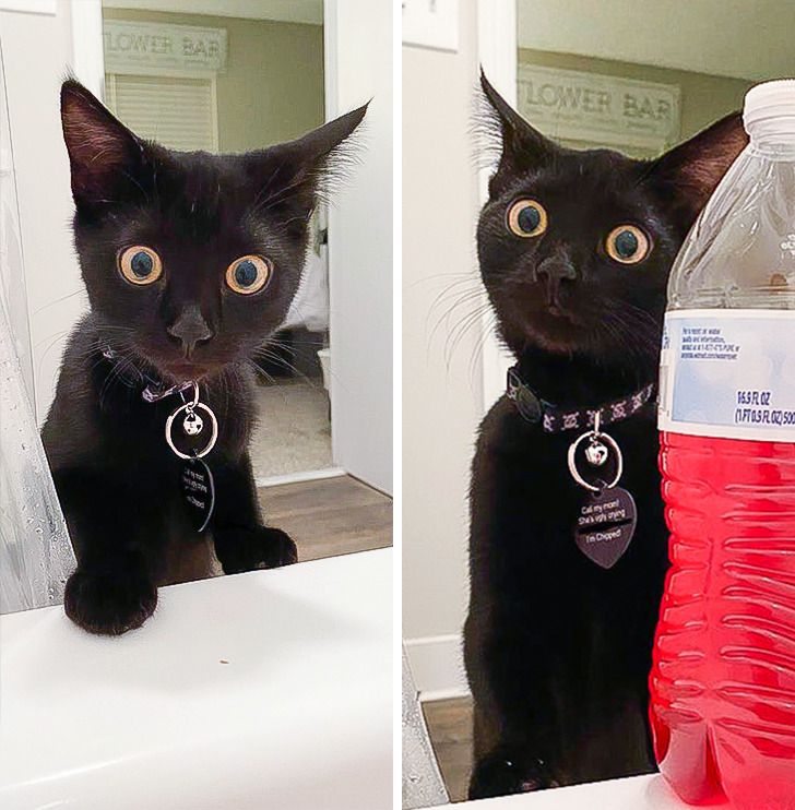 219f6e555d8030d0fd6df0edca