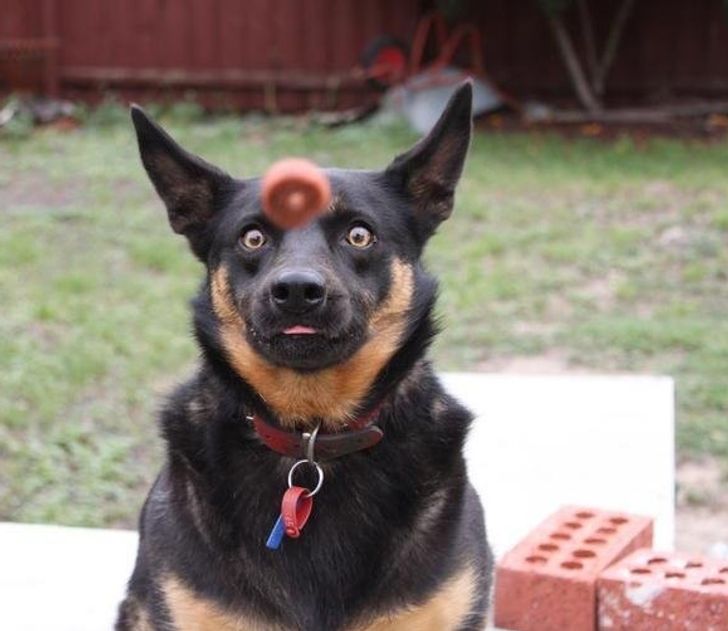 21a2745541b6507e43b65a1110