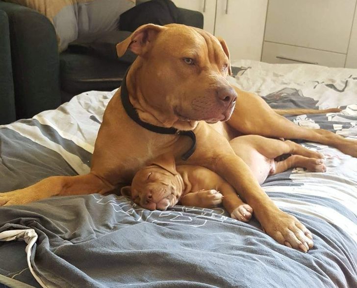 21a9275c888bfc8065b3707b6c