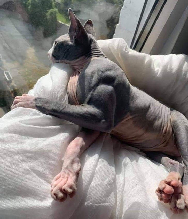 21a9d75691898ea2bf4c9c7414