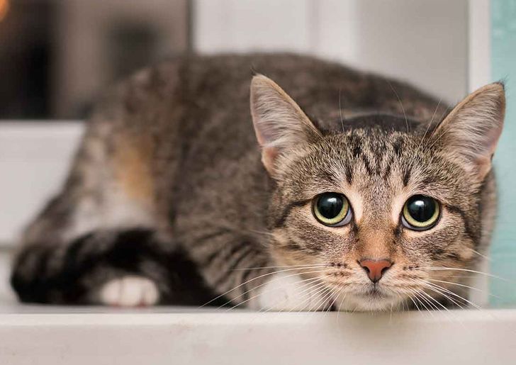 21ba2554d9a3f5d7078704709c