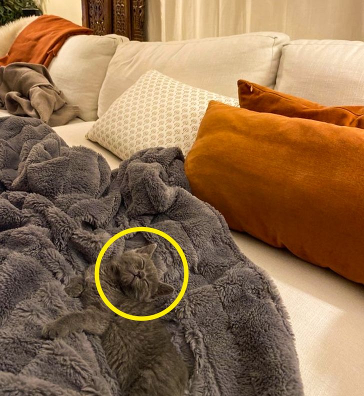 21ba52521db97bac560f091163