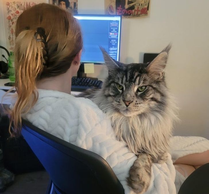 21bfe55acda1bfee3f2e7732f5 21bfe55acda1bfee3f2e7732f5