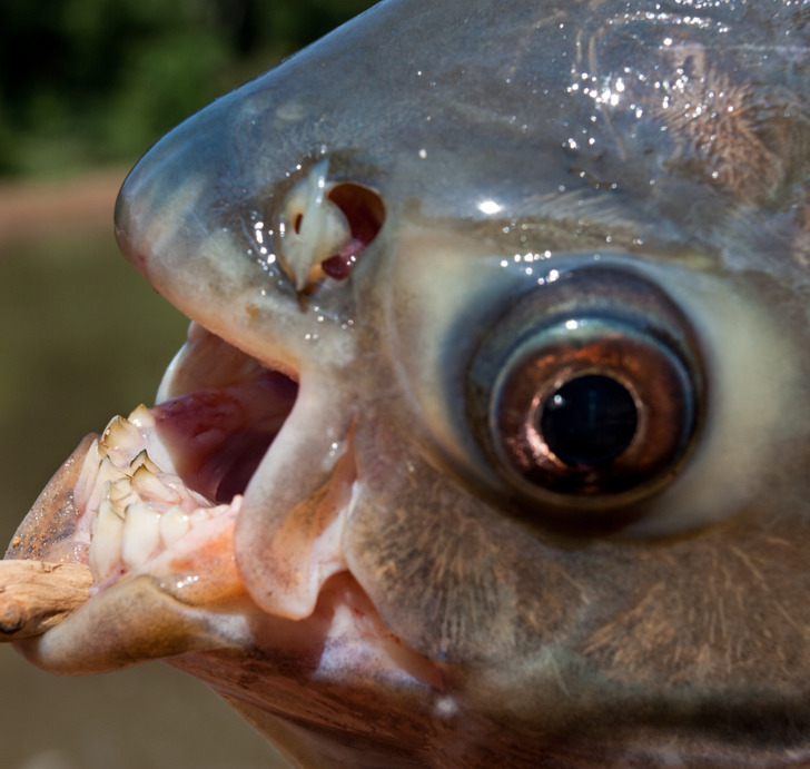 21cd9c58a3b5f7af9ee87a7947