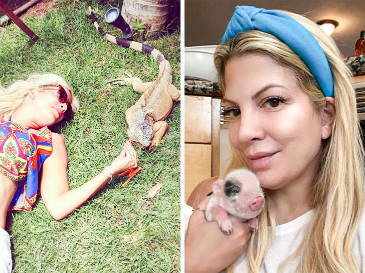 21ce9359a78af2807c9e87a21f