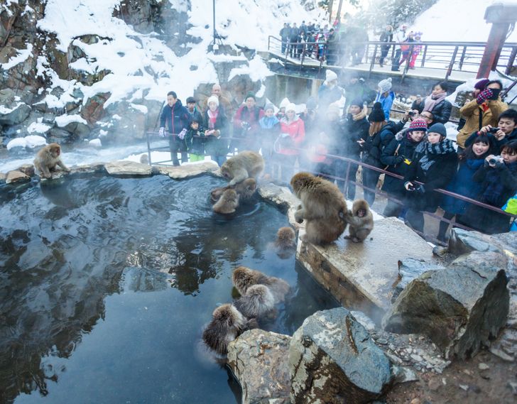 21d1e7529f908abeb4b979b06e