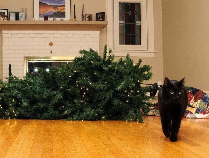 21d46752df941d0c9a38101018