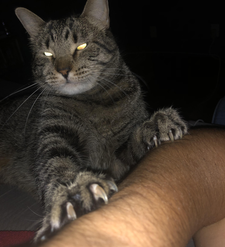 21d5e659f781bff4fc338d5dad