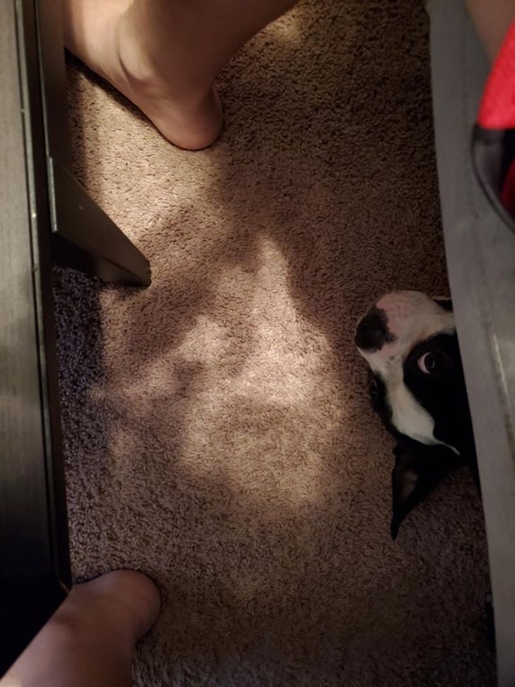 21e287598f81a1f6e35fee4964