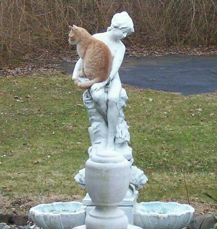 21e4875a29a60a952b13afca7e