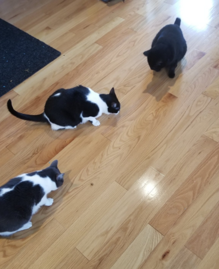 21ef2b5616b2b7911e40fbfd6b