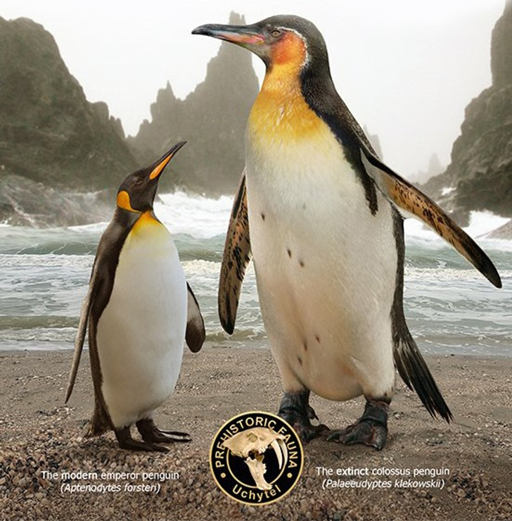 21f14b590a8c5e5e481bbbd719