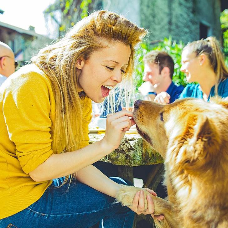 21f92a592596f07900cda378b1