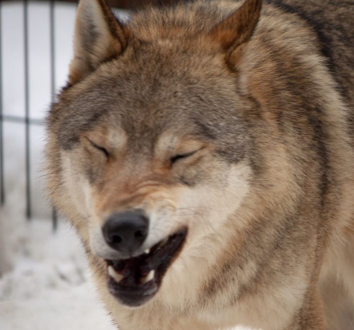 21f9d15ec783cfc8b898296978