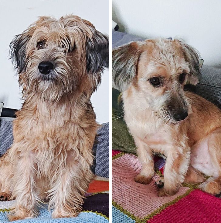 21fa255b2ba61782aebec63ba5