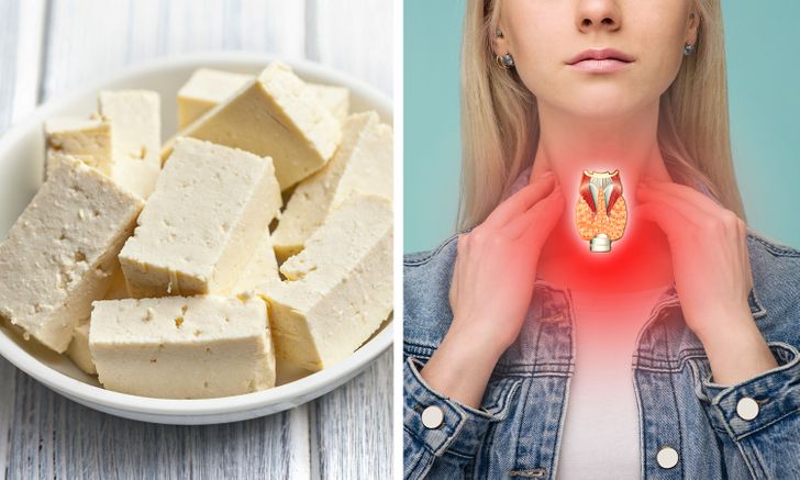 21ff965b20b7f04b33b1109320