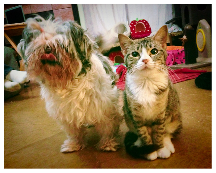 2203e35665b07dc95c0174c905