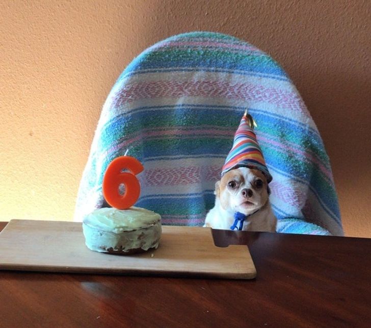 22048951818f90b37a2e9c471c 22048951818f90b37a2e9c471c