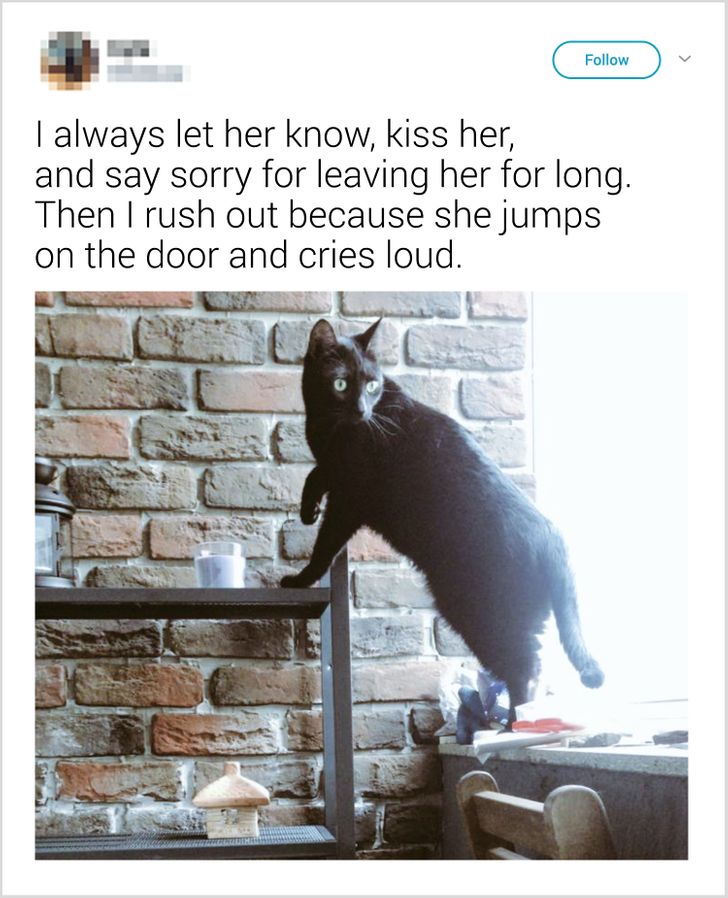 220ac3581793a2ca2e24871685