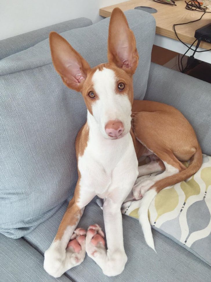 220be25622ab004fd4fce8128d